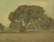 Francis McComas - Oaks of Monterey, California, 1904