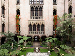 Sean Dungan (photographer) - Courtyard with nasturtium display