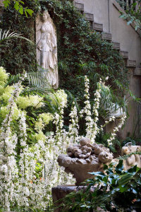 David Mathews (photographer) - Chimney bellflowers in the Courtyard during late summer