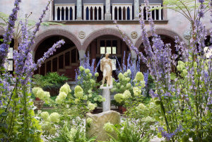 David Mathews (photographer) - Courtyard with chimney bellflowers in bloom