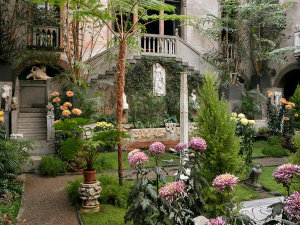 Sean Dungan (photographer) - Chrysanthemums in the Courtyard during the fall