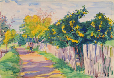 Dodge MacKnight - A Lane Through an Orange Grove, Orihuela, 1904