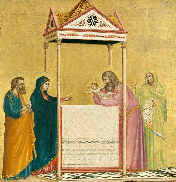 the presentation of jesus in the temple giotto